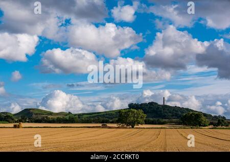 Vue à travers le champ de chaume de récolte jusqu'au monument Hopetoun sur Byres Hill, East Lothian, Écosse, Royaume-Uni Banque D'Images