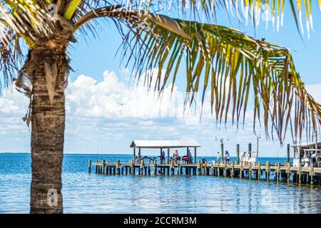 Pine Island Florida,Bokeelia,Gasparilla Sound,Golfe du Mexique,front de mer,quai de pêche,palmiers, visiteurs voyage visite touristique la Banque D'Images