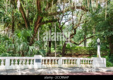 Orlando Floride, Lake Lawsona quartier historique, Dickson Azalea Park, arbres de chêne vivants, ombre, végétation luxuriante aménagement paysager, parc public espace vert, Washi Banque D'Images