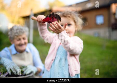 Petite fille avec petite-fille senior jardinant à l'extérieur en été. Banque D'Images