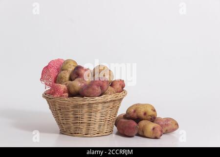 Types de pommes de terre - pommes de terre péruviennes encore vie - Huayro pomme de terre Banque D'Images