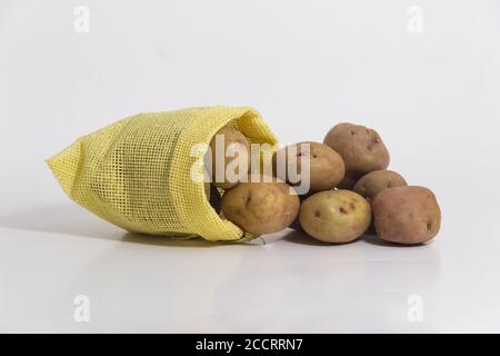 Types de pommes de terre - pommes de terre péruviennes encore vie - blanc pomme de terre Banque D'Images