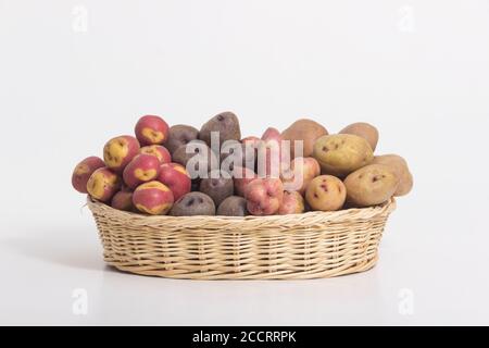 Types de pommes de terre - pommes de terre péruviennes encore la vie Banque D'Images