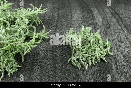 Bouquet de sauge fraîche sur une table en bois sombre. Herbe de sauge verte pour le thé. Branches et feuilles de sauge sur fond gris. Salvia officinalis. Copier l'espace pour tex Banque D'Images