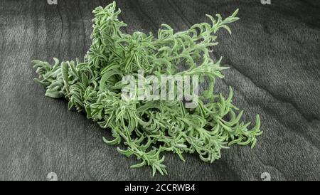 Bouquet de sauge fraîche sur une table en bois sombre. Herbe de sauge verte pour le thé. Branches et feuilles de sauge sur fond gris. Salvia officinalis. Copier l'espace pour tex Banque D'Images