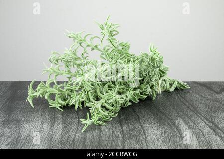 Bouquet de sauge fraîche sur une table en bois sombre. Herbe de sauge verte pour le thé. Branches et feuilles de sauge sur fond gris. Salvia officinalis. Copier l'espace pour tex Banque D'Images