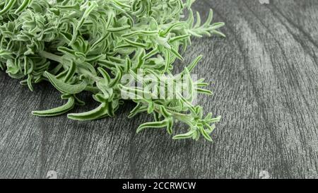 Bouquet de sauge fraîche sur une table en bois sombre. Herbe de sauge verte pour le thé. Branches et feuilles de sauge sur fond gris. Salvia officinalis. Copier l'espace pour tex Banque D'Images