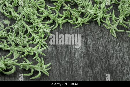 Bouquet de sauge fraîche sur une table en bois sombre. Herbe de sauge verte pour le thé. Branches et feuilles de sauge sur fond gris. Salvia officinalis. Copier l'espace pour tex Banque D'Images