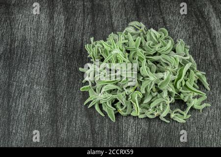 Branches et feuilles de sauge fraîches sur fond gris. Herbe de sauge verte pour le thé. Thé grec de fines herbes. Herbes naturelles. Banque D'Images