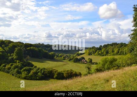 Scènes du fond de Magpie, une belle tête de vallée resauvage riche en biodiversité près d'Otford, Kent dans North Downs. Plantes et créatures amoureux de la craie Banque D'Images