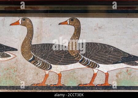 Détail de la peinture de l'Oèse de Meidum, Musée des antiquités égyptiennes, le Caire Banque D'Images