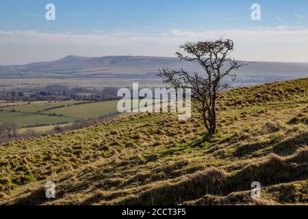 Vue sur South Downs dans Sussex en direction de Firle Gyrophare Banque D'Images