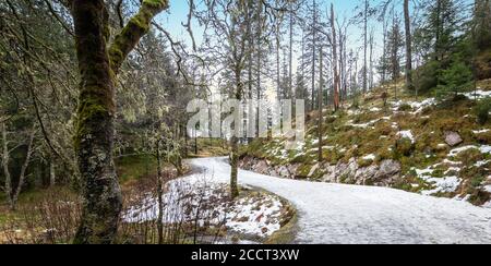 Route enneigée en forêt sur le mont Floyen, Bergen, Norvège, Scandinavie. Banque D'Images