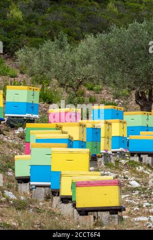 ruches peintes colorées sur une colline sur l'île grecque de zakynthos ou zante faisant ou produisant du miel pour la vente comme produit local. Banque D'Images