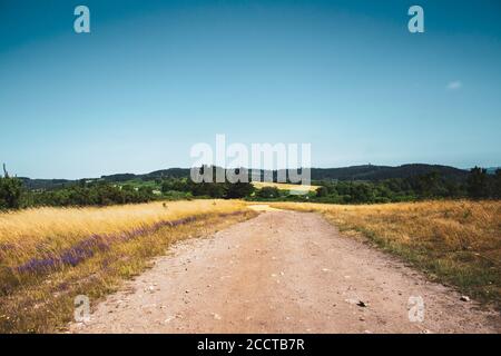 chemin en pierre entouré par la végétation contre le ciel bleu Banque D'Images