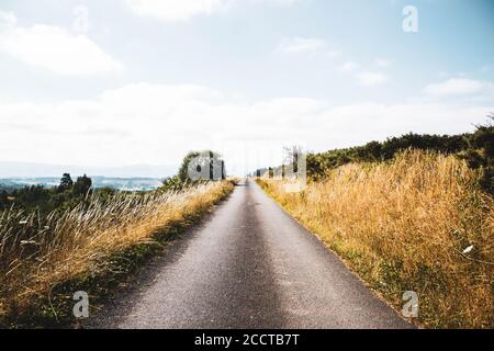 route traversant le paysage de forêt et de montagnes contre le ciel bleu Banque D'Images