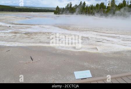 PARC NATIONAL DE YELLOWSTONE, WYOMING - 9 JUIN 2017 : bassin de Celestine du groupe Fountain dans le bassin inférieur du Geyser Banque D'Images