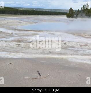 Fin du printemps dans le parc national de Yellowstone: Piscine de Celestine du groupe de fontaines du bassin inférieur de Geyser Banque D'Images