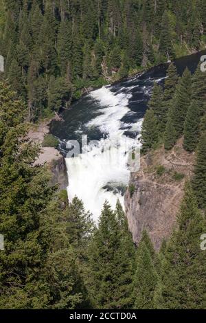 Lower Mesa Falls dans l'Idaho le long de Mesa Falls Scenic Byway sur une journée ensoleillée avec sauvage et rapide eau en cascade sur les falaises rocheuses avec les environs Banque D'Images