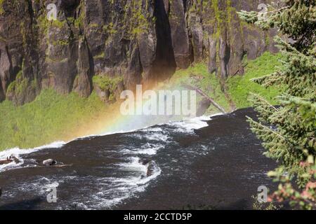 Un arc-en-ciel dans la brume d'Upper Mesa Falls AS il se cascade au-dessus d'une falaise dans la nature sauvage sauvage de Hennys Fork de la rivière Snake le long des chutes Mesa Banque D'Images