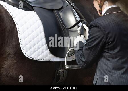 Un détail de la race de dressage spécial Friesian Horse in noir avec fourrure brillante dans un enclos Banque D'Images