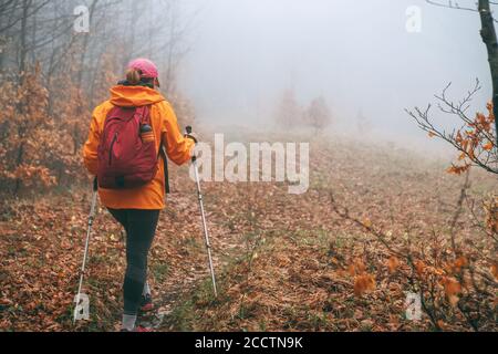 Vêtu d'une veste orange vif jeune femme routard marchant sur le chemin touristique en utilisant des bâtons de randonnée dans la forêt brumeuse d'automne. Des personnes actives et des autres Banque D'Images