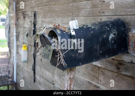 Ancienne boîte aux lettres de pays abandonnée avec nid d'oiseau à l'intérieur. Photo de haute qualité Banque D'Images