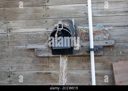 Gros plan sur l'avant d'une boîte postale de pays ancien abandonné avec nid d'oiseau à l'intérieur sur le côté d'un hangar. Photo de haute qualité Banque D'Images