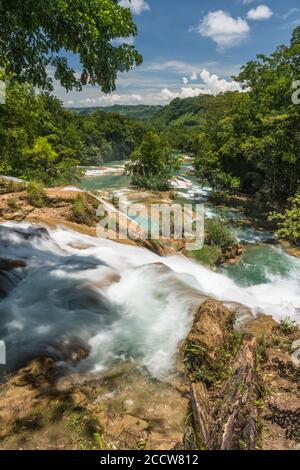 Les cascades d'Agua Azul sont une série de cascades sur la rivière Xanil à Chiapas, au Mexique. La rivière est de couleur turquoise en raison de la haute teneur en minéraux c Banque D'Images