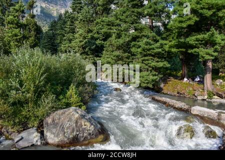 Srinagar, Inde. 24 août 2020. Une famille se trouve près de l'ombre des arbres près d'une rivière pendant une journée chaude et ensoleillée à la périphérie de Srinagar. Crédit : SOPA Images Limited/Alamy Live News Banque D'Images