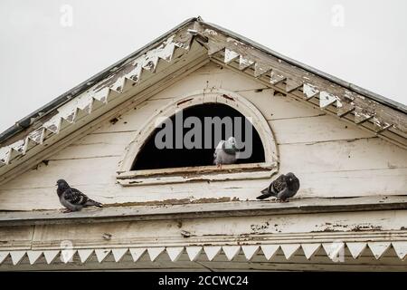 Vieux pigeonnier sur le toit de la maison Banque D'Images