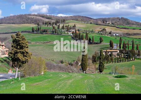 Petites routes avec cyprès méditerranéen, fermes et collines verdoyantes, un paysage typique de Toscane, Italie Banque D'Images