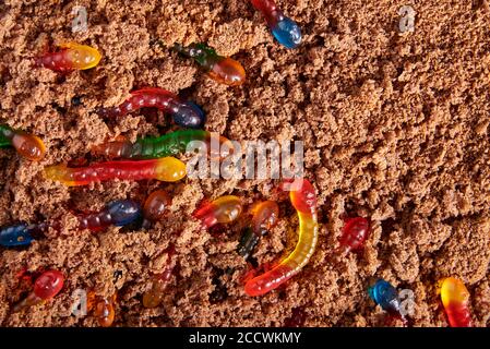 Assortiment coloré et lumineux de vers délicieux dans le gâteau au chocolat moulu, Halloween fête nourriture, espace de copie Banque D'Images