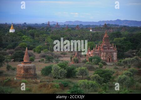 Vieux temples et pagodes à Bagan Myanmar avec des arbres luxuriants et verts Banque D'Images