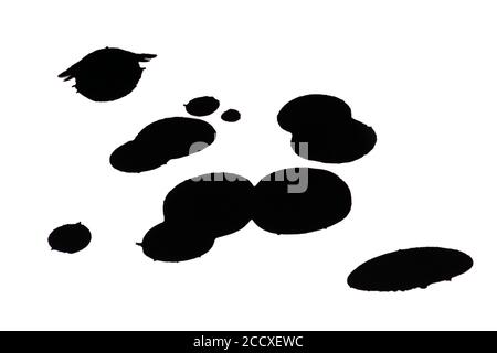 Éclaboussures d'encre noire sur fond blanc Banque D'Images