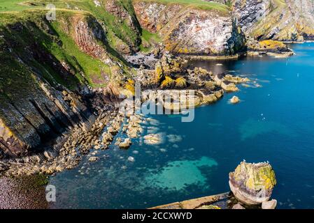 Sentier côtier de St Abbs, Écosse Banque D'Images