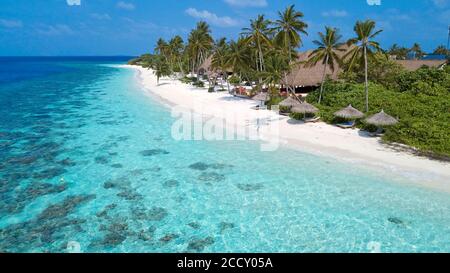 Vue sur les oiseaux, lagon et plage avec parasols couverts de palmiers et (Cocos nucifera ), Filaidhoo, Raa Atoll, Maldives Banque D'Images