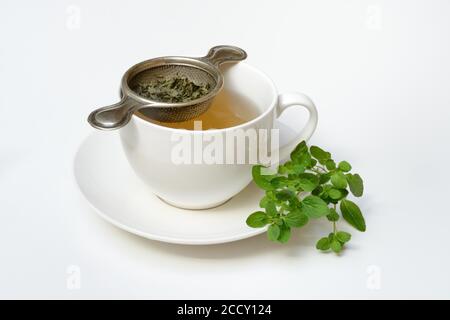 Thé d'origan en tasse, passoire à thé avec feuilles d'origan séchées et branche d'origan, Allemagne Banque D'Images