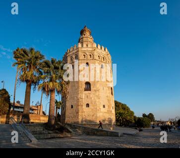 Gold Tower dans la lumière du soir, Torre del Oro, Séville, Andalousie, Espagne Banque D'Images