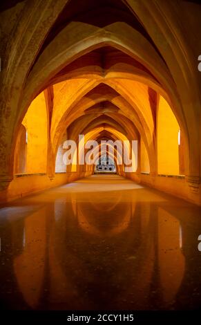 Réservoirs d'eau de pluie historiques, Los Banos de Dona Maria de Padilla, Palais Alcazar, Séville, Andalousie, Espagne Banque D'Images