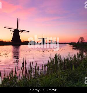 Moulins à vent au lever du soleil, Kinderdijk, patrimoine mondial de l'UNESCO, Zuid-Holland, pays-Bas Banque D'Images