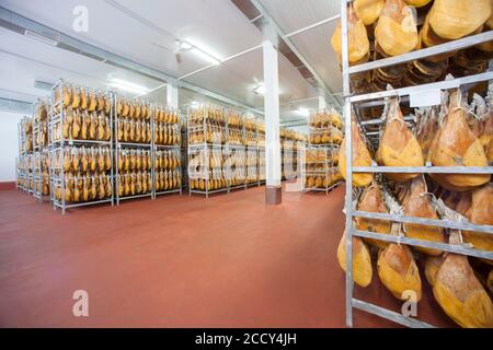 Salle de stockage avec jambon cru, usine de Cantimpalos, province de Segovia, Espagne Banque D'Images