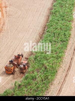 Vue aérienne, tracteur pendant la récolte sur le champ de canne à sucre, Sao Paulo, Brésil Banque D'Images