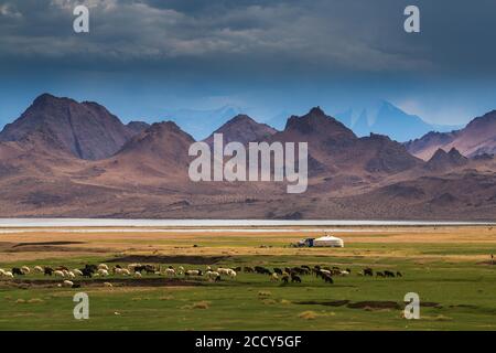 Paysage de Mongolie occidentale. Mont Tsambagarav, province de l'Uvs, Mongolie Banque D'Images