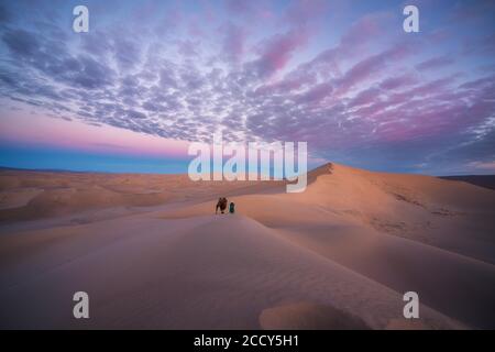 Belle matinée dans les dunes de sable de Khongor. Province d'Umnugobi, Mongolie Banque D'Images