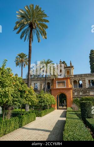 Porte jaune dans la Galeria del Grutesco, Jardines del Alcazar, Palais Royal, Real Alcazar de Séville, Séville, Espagne Banque D'Images