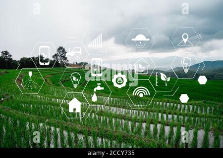 concept de technologie agricole homme Agronomist utilisant une tablette Internet de rapport sur les choses Banque D'Images