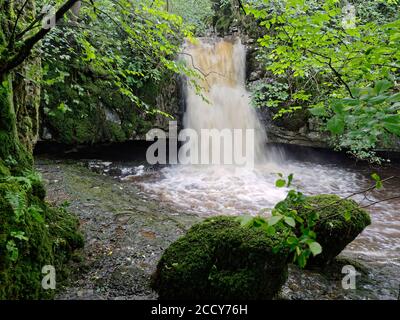 Les pittoresques chutes basses de Gastack Beck à Deepdale, près du village de Dent, dans le parc national de Yorkshire Dales, en Angleterre. Banque D'Images