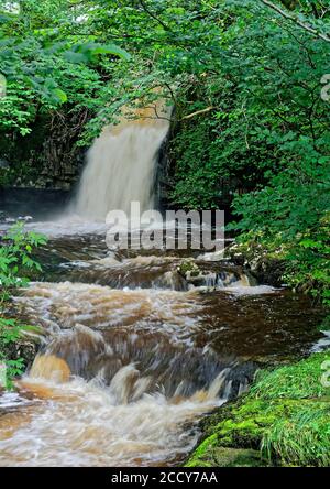 Les pittoresques chutes basses de Gastack Beck à Deepdale, près du village de Dent, dans le parc national de Yorkshire Dales, en Angleterre. Banque D'Images