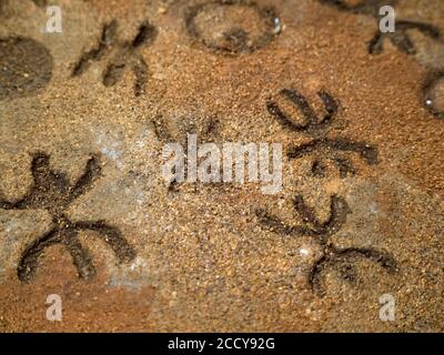 Âge de pierre nuragique vieux pétroglyphes écrits rutiques à l'intérieur de Sea Oxen Grottes Sardaigne Italie Banque D'Images